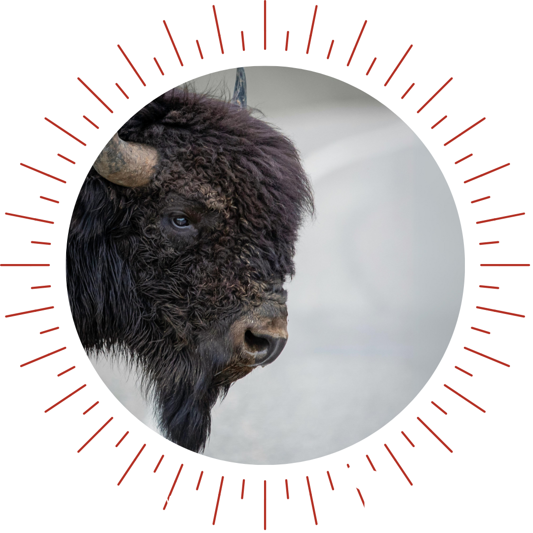 eCourses - Alberta Recreation & Parks Association